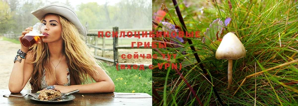 a pvp Бугульма